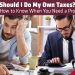 Should I do my own tax return?