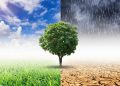 Climate change is hurting the insurance industry