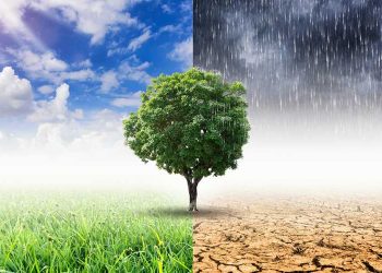 Climate change is hurting the insurance industry