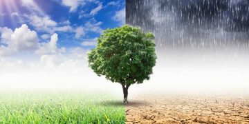 Climate change is hurting the insurance industry